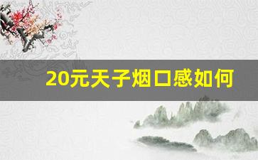 20元天子烟口感如何-20元一盒的天子烟好吗