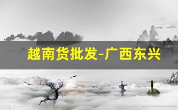 越南货批发-广西东兴越南特产批发