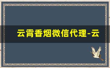 云霄香烟微信代理-云霄香烟去哪里入货