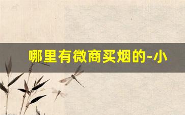 哪里有微商买烟的-小河在哪里买烟靠谱