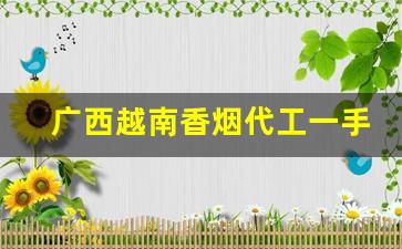 广西越南香烟代工一手货源批发代理-广西进口烟供货商