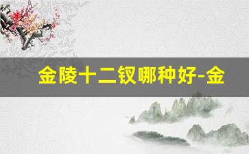 金陵十二钗哪种好-金陵十二钗金钗什么档次