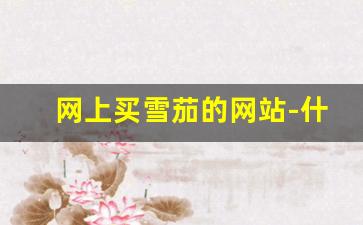 网上买雪茄的网站-什么网站可以买到雪茄