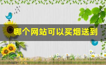哪个网站可以买烟送到家-买烟到哪里买最靠谱