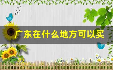 广东在什么地方可以买到真的烟-什么烟只有广东有卖的