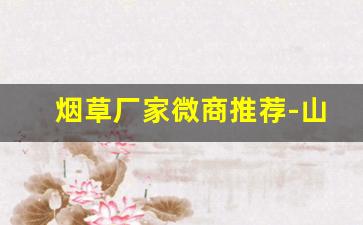 烟草厂家微商推荐-山东烟草品牌及价格便宜的