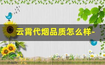 云霄代烟品质怎么样-云霄哪几款烟好