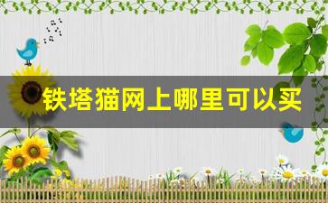 铁塔猫网上哪里可以买-铁塔猫在哪能买到正品货
