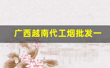 广西越南代工烟批发一手货源-越南厂家代工烟能买吗