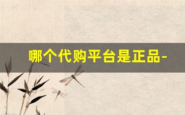 哪个代购平台是正品-网上哪里有代购平台