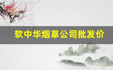 软中华烟草公司批发价是多少-软中华上海烟草集团多少钱一包
