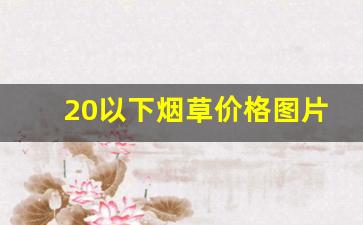 20以下烟草价格图片大全-全国所有烟草价格一览表图片