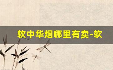 软中华烟哪里有卖-软中华烟现在卖多少钱一条