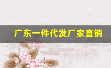 广东一件代发厂家直销-厂家一件代发免费供货