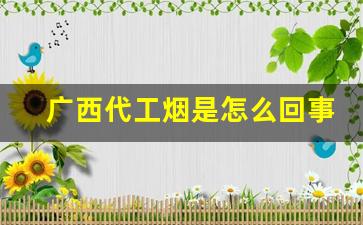 广西代工烟是怎么回事-广西造假烟主要在哪里