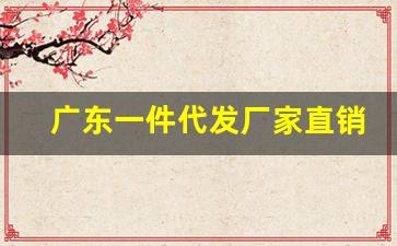 广东一件代发厂家直销-源头厂家一件代发一件包邮