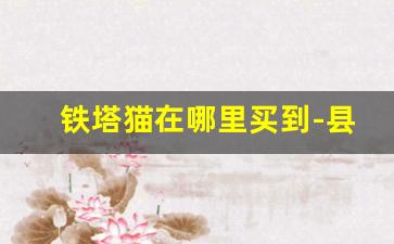 铁塔猫在哪里买到-县城在哪里可以买到铁塔猫