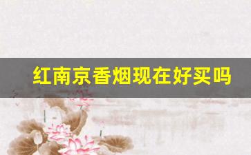 红南京香烟现在好买吗-红南京香烟价目表配图