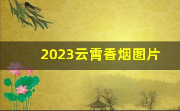 2023云霄香烟图片与价格-云霄香烟26种价目表