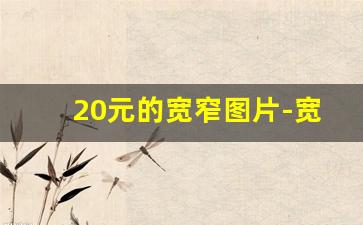20元的宽窄图片-宽窄二十元以内