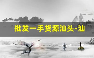 批发一手货源汕头-汕头精品店货源哪里批发