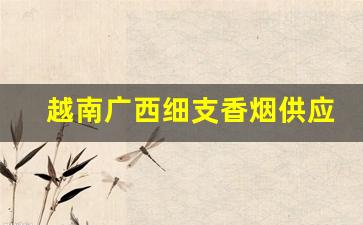 越南广西细支香烟供应-广西东兴越南香烟的价格