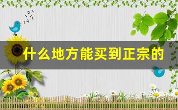 什么地方能买到正宗的烟丝-玉溪烟丝多少钱一桶