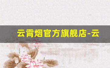 云霄烟官方旗舰店-云霄烟在线批发