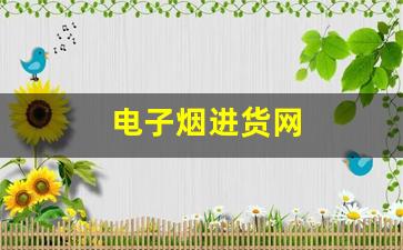 电子烟进货网