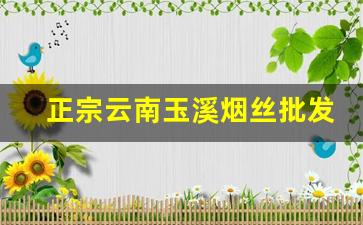 正宗云南玉溪烟丝批发-高档玉溪烟丝直营店