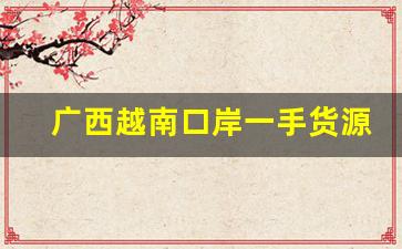 广西越南口岸一手货源-越南一手货源网站