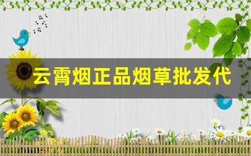 云霄烟正品烟草批发代理【一手货源】-正宗云霄烟代销