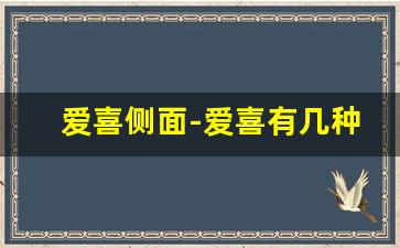 爱喜侧面-爱喜有几种包装