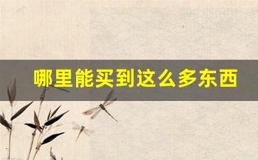哪里能买到这么多东西-在哪里看买到的东西