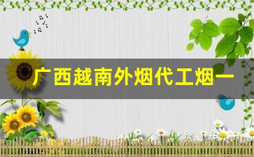 广西越南外烟代工烟一手货源代理-越南代工烟一般怎么销售