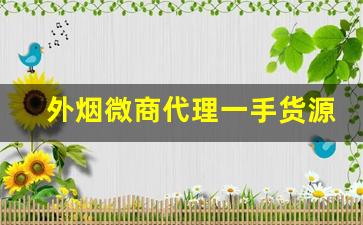 外烟微商代理一手货源售卖网-进口烟代销