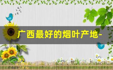 广西最好的烟叶产地-湖南烟叶产地排名前十名