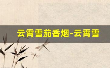 云霄雪茄香烟-云霄雪茄价格表
