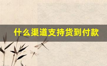 什么渠道支持货到付款-支持货到付款怎么做