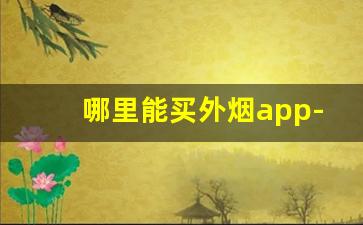 哪里能买外烟app-能在烟店买到的外烟