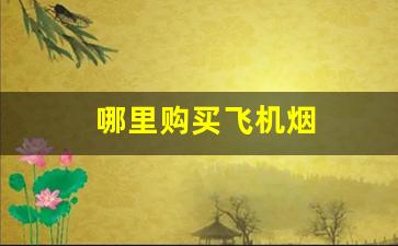 哪里购买飞机烟