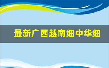 最新广西越南细中华细支香烟一手货源-出口越南中华烟多少钱一条啊