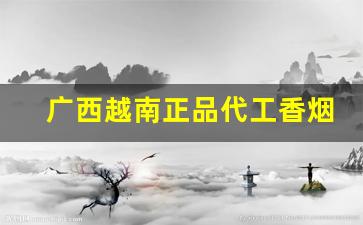 广西越南正品代工香烟-广西香烟越南代工