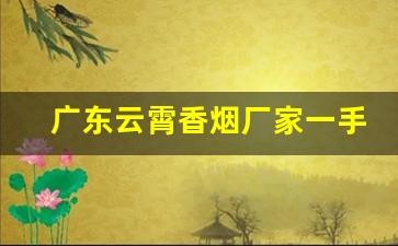 广东云霄香烟厂家一手货源-云霄香烟批发供应商有哪些