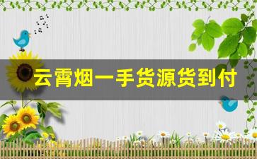 云霄烟一手货源货到付款-云霄烟在线批发