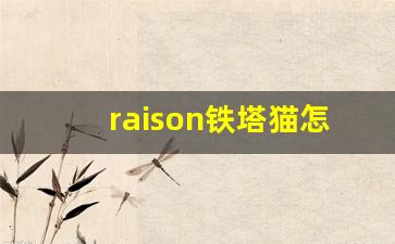 raison铁塔猫怎么买-铁塔猫在哪里买正品